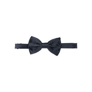Lady Anne Blue Ties & Bow Ties Men